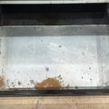 Img-6619 - Appliance Solutions